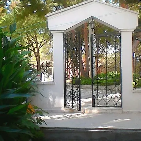 게스트하우스 Pine House *