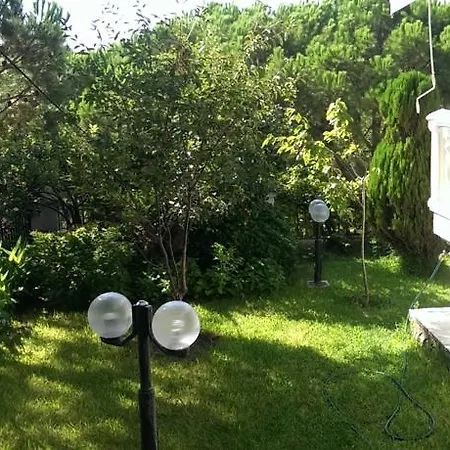 Casa de hóspedes Pine House